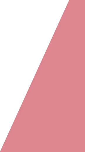 Intelegen COMPLAINTSOLVEai Banner Shape